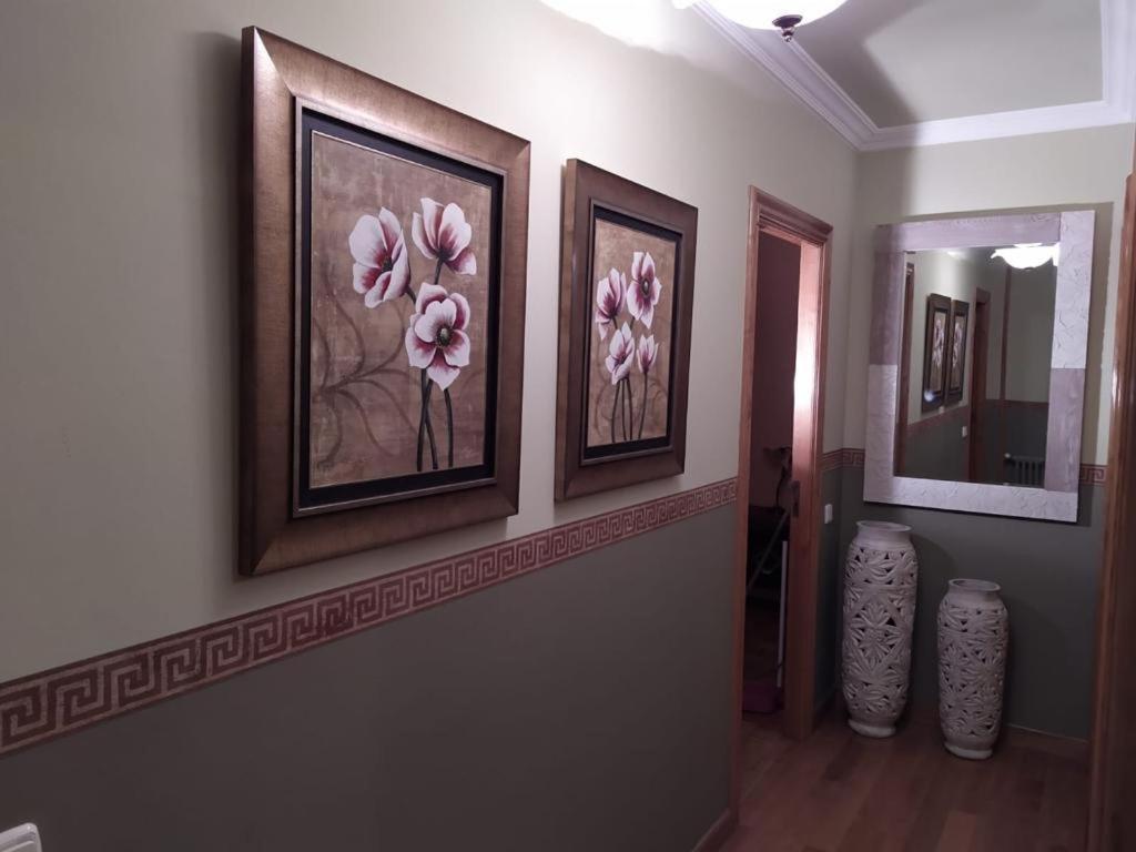 Nice Apartment Don Santiago Santiago de Compostela Ngoại thất bức ảnh